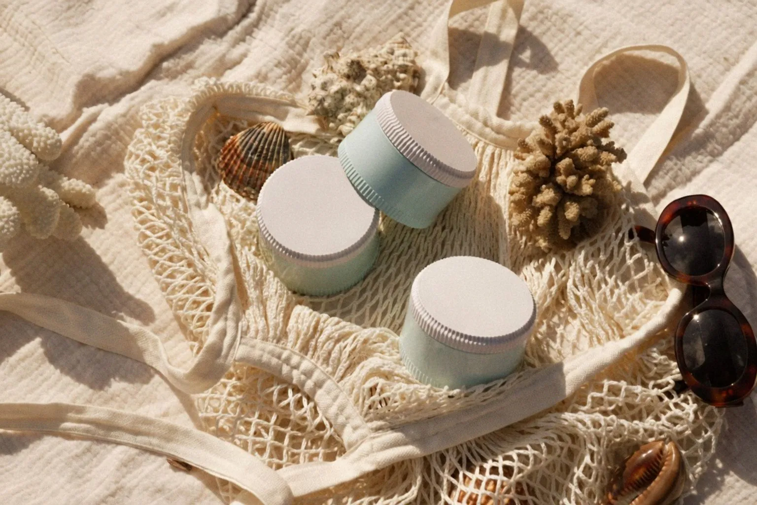 Algaée Cosmétique : l'innovation capillaire durable puisée dans les algues bretonnes