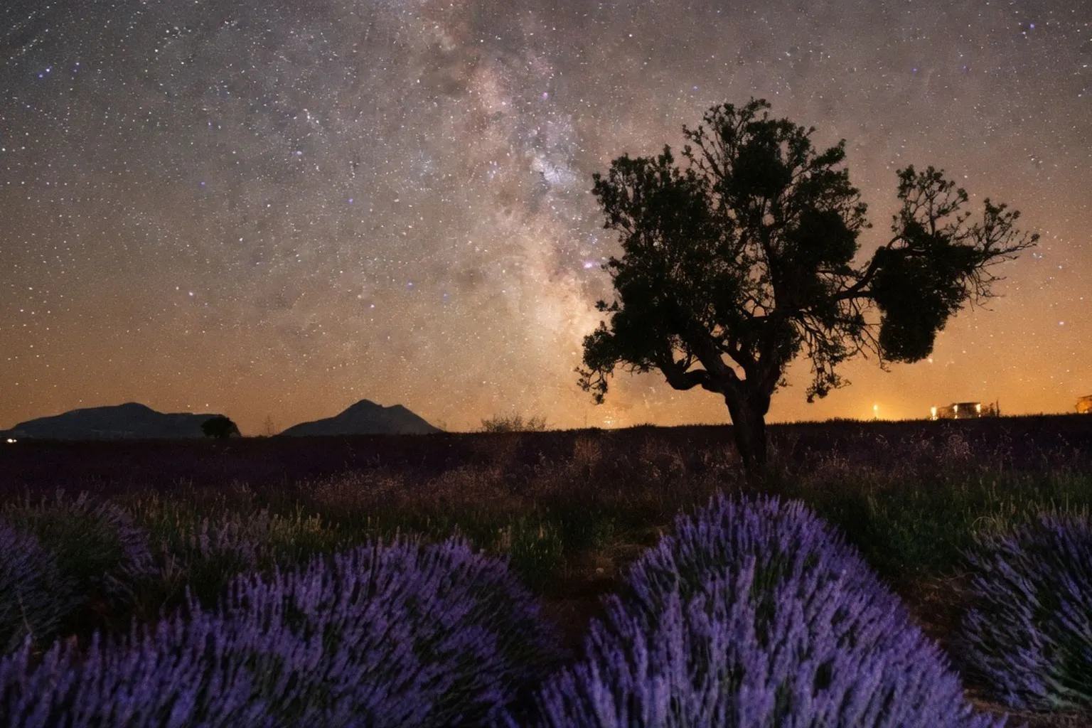 L'Occitane en Provence : un demi-siècle d'héritage entre tradition et nature